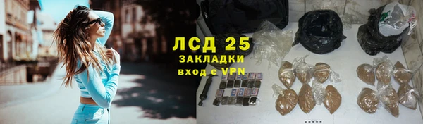 спайс Пересвет