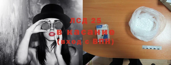 спайс Пересвет