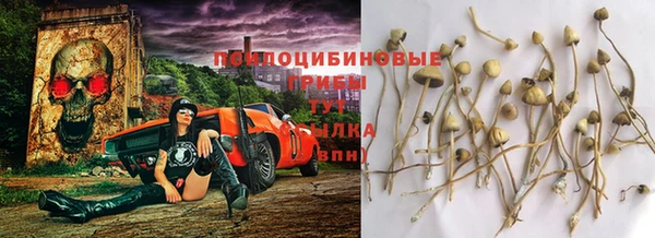 а пвп мука Покров